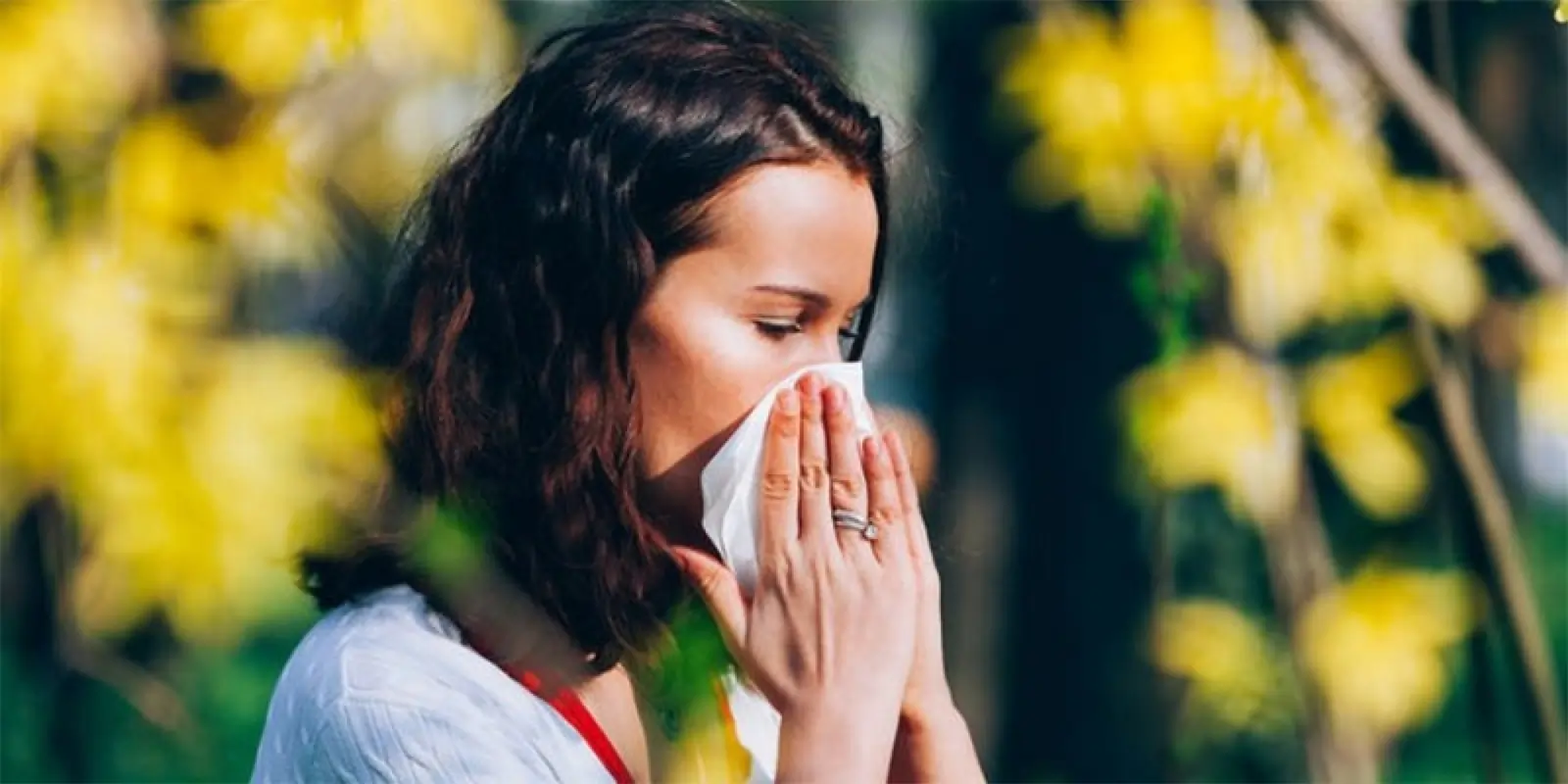 Chinese Medicine to help hayfever