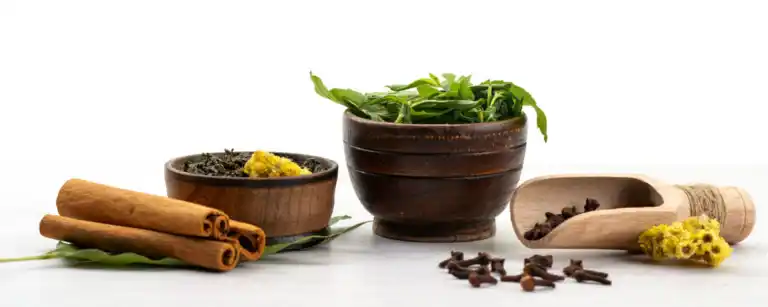 Chinese Herbal Medicine