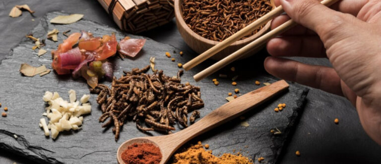 Chinese Herbal Medicine for Irritable Bowel Syndrome