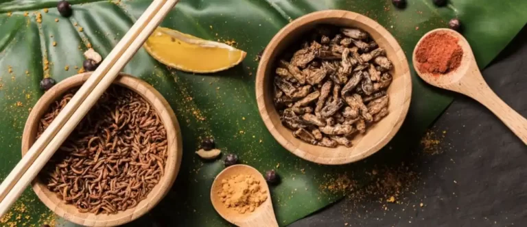 Chinese Herbal Medicine For Soothing Acid Reflux